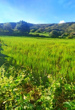 Curahuasi Climatoterapia
