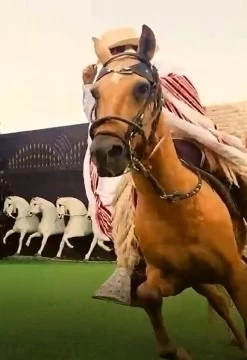 Caballos de Paso y Buffet en Pachacamac