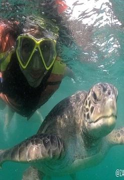 Vive el Norte: Playas, Manglares y Tortugas