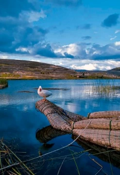 Cajamarca Imperial 5D