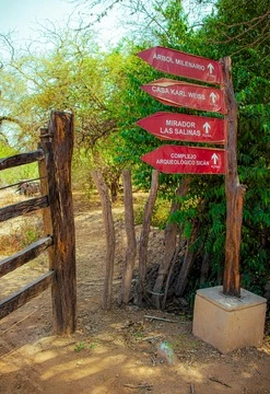 Explora Lambayeque