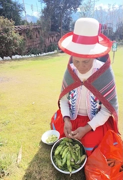 Gastronomia ancestral: Preparación de Pachamanca