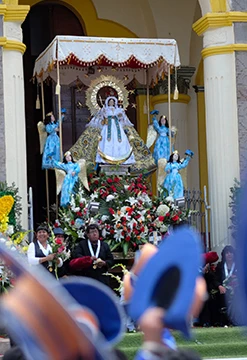 Vive candelaria de noche