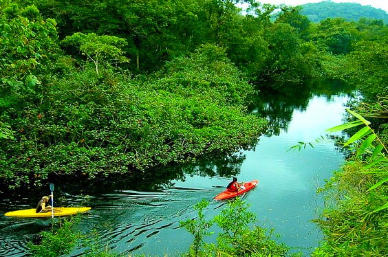 tarapoto-selva-y-naturaleza_2