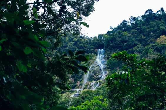 Tarapoto y Salto de la Bruja | Ofertas de viaje | Paquetes turísticos ...