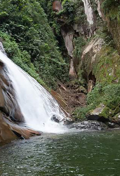 Huánuco, Tingo María y Ucayali