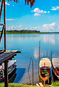 Pucallpa y Tingo María (Selva Alta y Selva Baja)