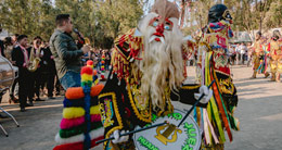 Festival Jala Jala