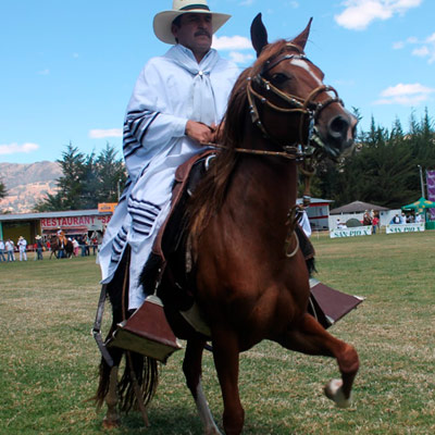 LX Edición Fongal Cajamarca "Luis Napoleón Aliaga Bazán"