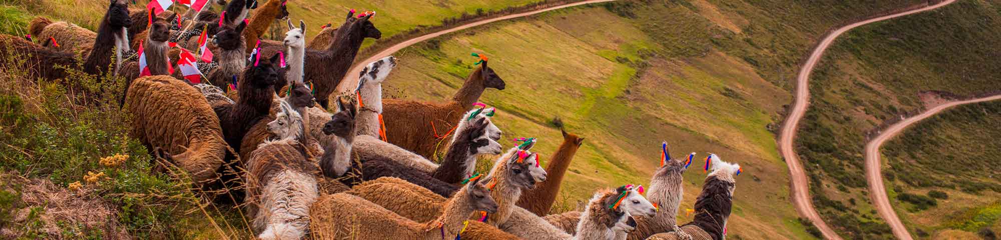 Destino Andahuaylas recibe el Sello Safe Travels