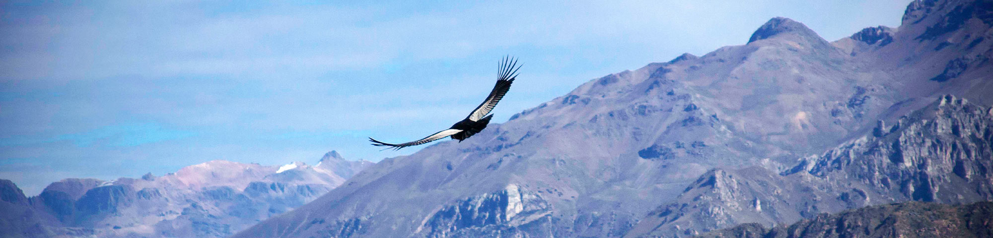 El turismo se recupera en Arequipa: 19,000 turistas visitaron el valle del Colca en mayo 