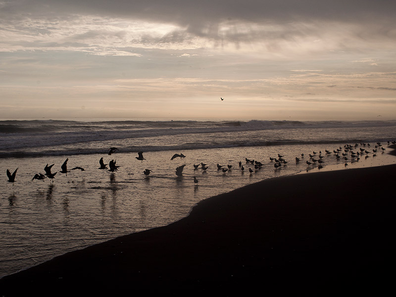 Playas