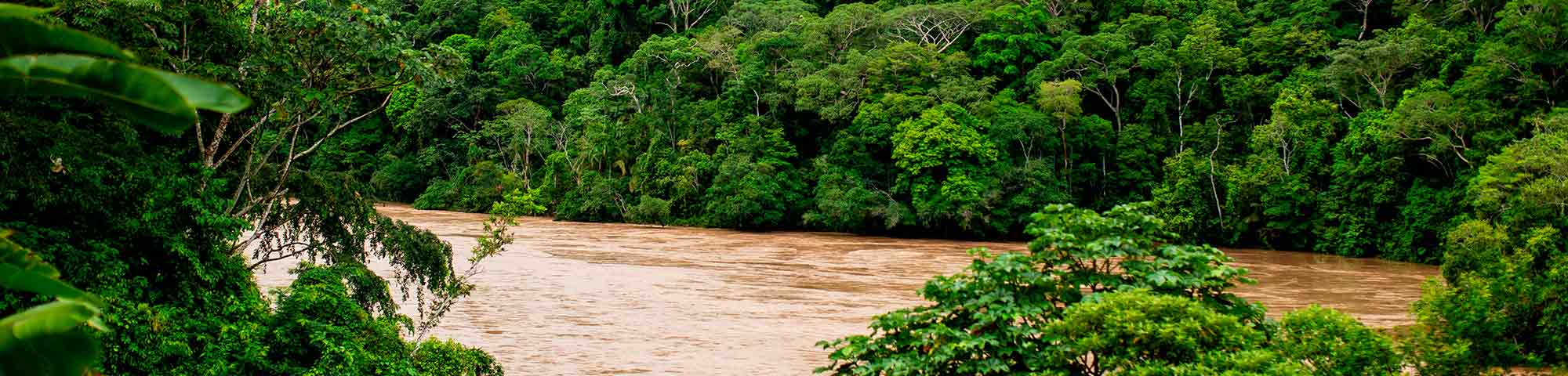 Cusco, Lima y Tarapoto se ubican entre los destinos más buscados por los peruanos