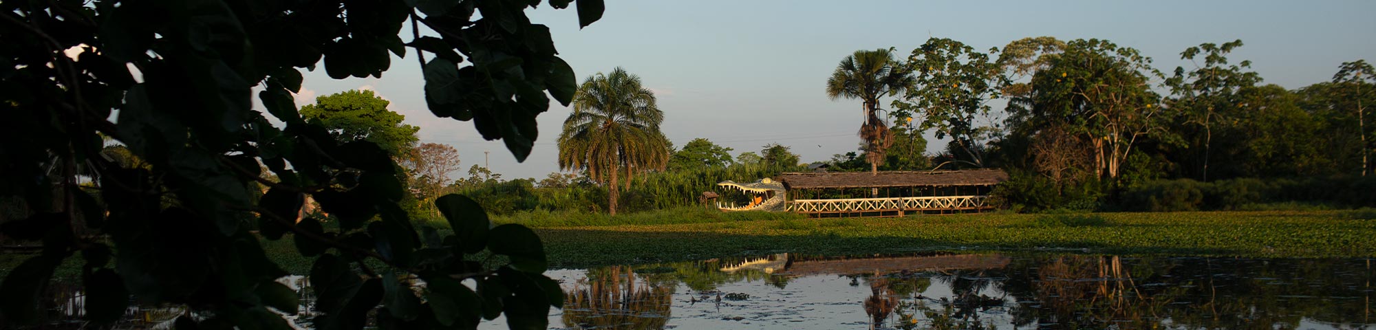 Nueva aerolínea ingresará para conectar Iquitos y Pucallpa