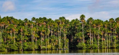 Reserva Nacional de Tambopata busca obtener sello ‘Destino Bioseguro’ tras su reapertura