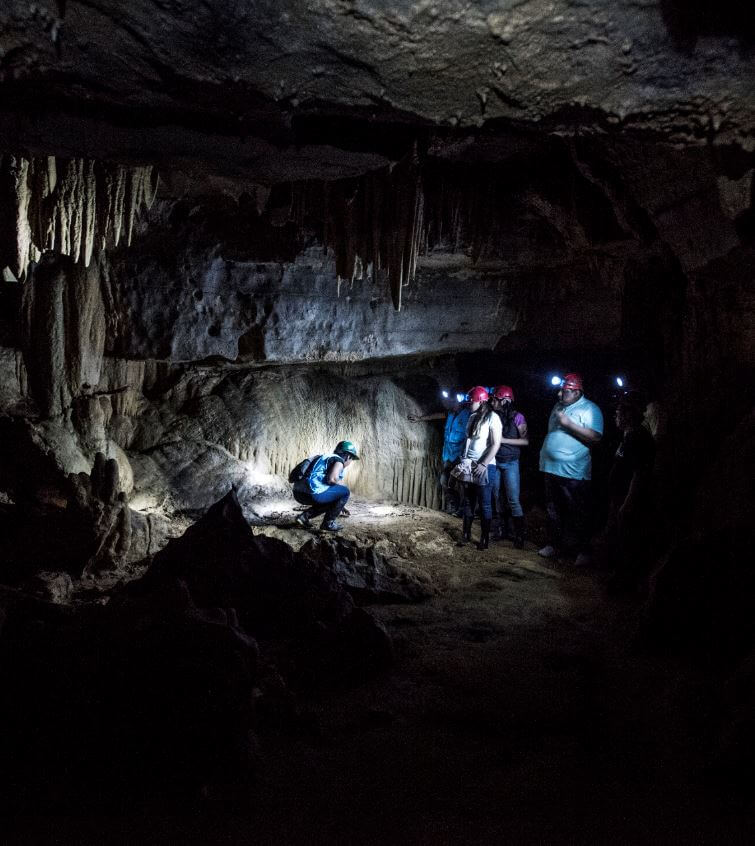 Cuevas de Palestina