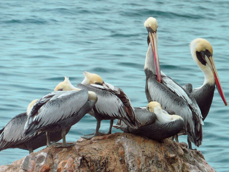 Atracción de cielo y mar