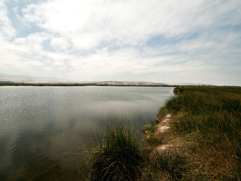 Santuario Nacional Lagunas de Mejía