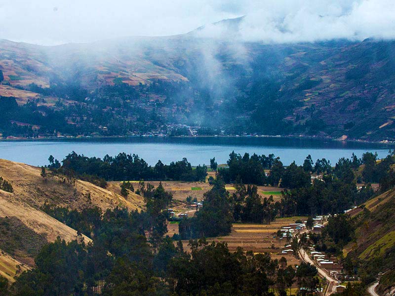 Petroglifos de Sachapucro y Llamachayoc