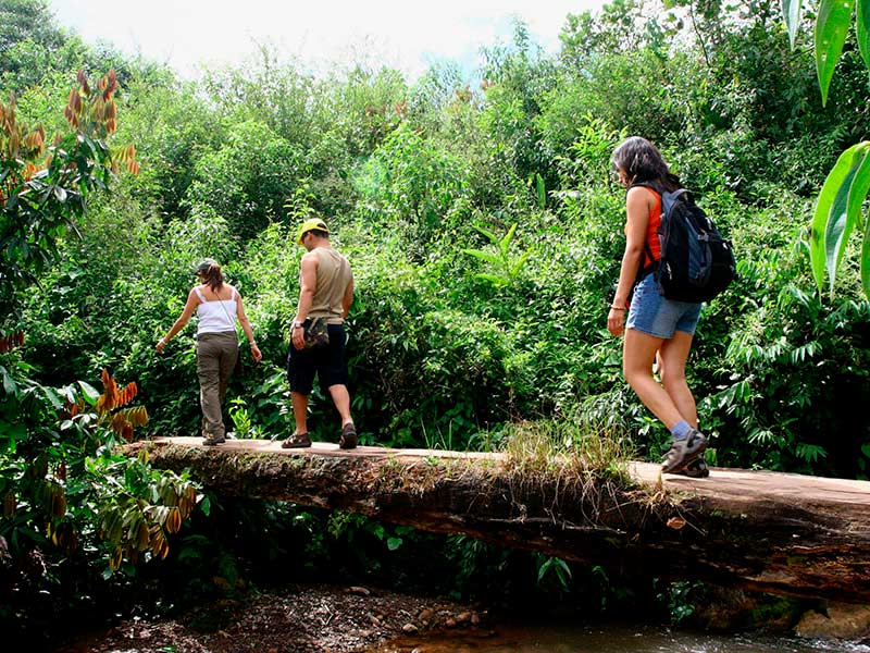 El encanto de Tingo María