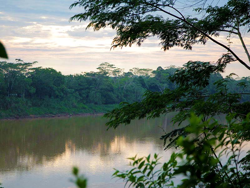 Tambopata Vivencial